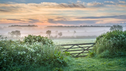 Mist rising over the fields beyond a wooden gate at Sissinghurst Castle Garden, Kent